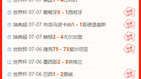 2026世界杯焦点对决：阿根廷对阵瑞士，攻略解析